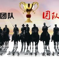 團隊:助力騰飛的力量源泉