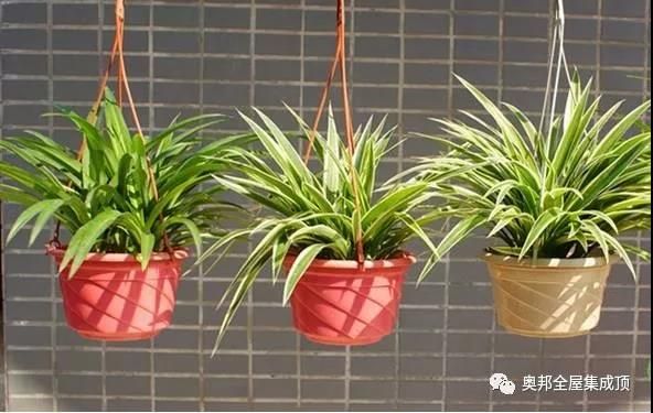 微信圖片_20191029141935 微信圖片_20191029141935