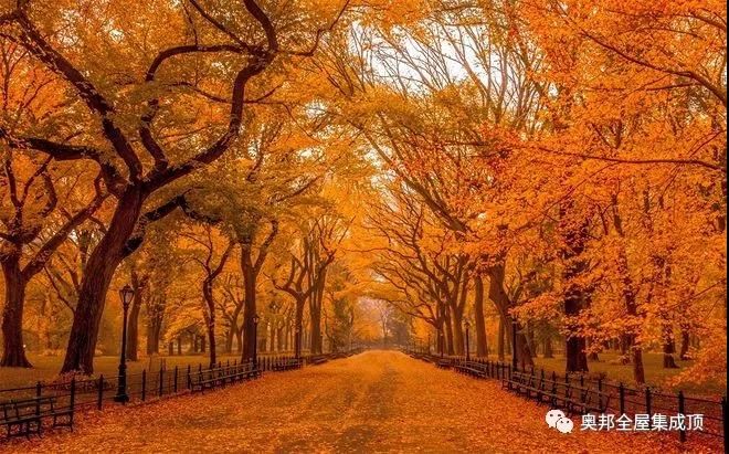 微信圖片_20191029155919 微信圖片_20191029155919